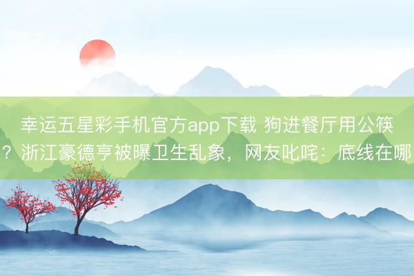 幸运五星彩手机官方app下载 狗进餐厅用公筷？浙江豪德亨被曝卫生乱象，网友叱咤：底线在哪